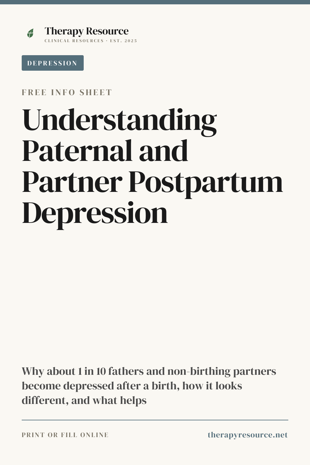 Understanding Paternal and Partner Postpartum Depression worksheet preview