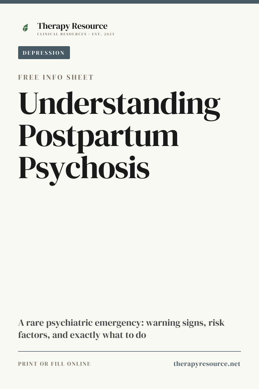 Understanding Postpartum Psychosis worksheet preview
